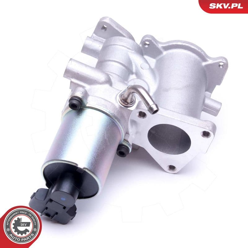 Supapa EGR ESEN SKV 14SKV166
