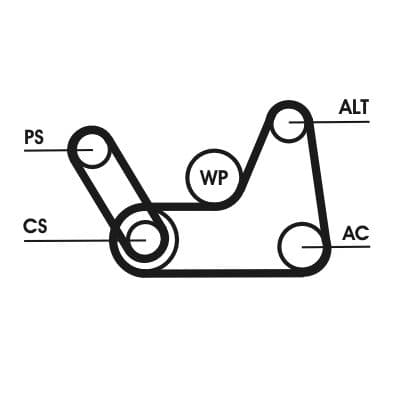 Set curea transmisie cu caneluri CONTINENTAL CTAM 6PK1019 ELAST T1