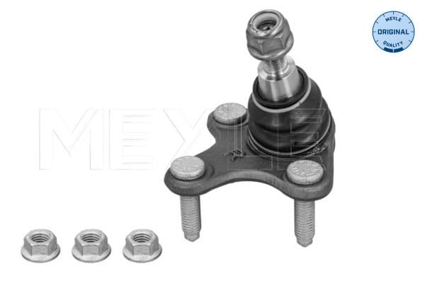 Pivot MEYLE -ORIGINAL: True to OE. 116 010 0053