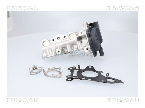 Supapa EGR TRISCAN 8813 23041