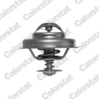 termostat,lichid racire CALORSTAT by Vernet TH5083.83J