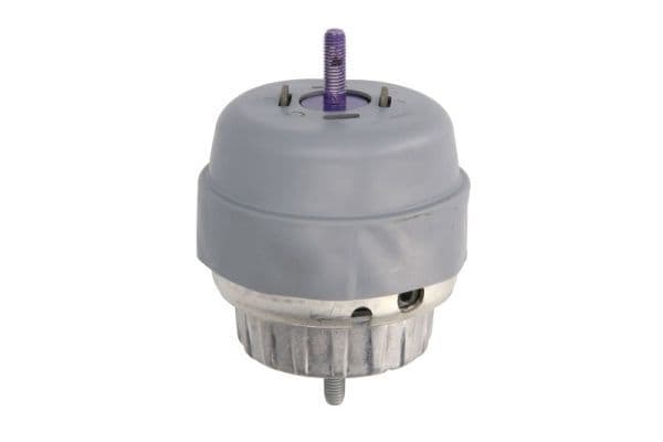Suport motor REINHOCH RH11-0099