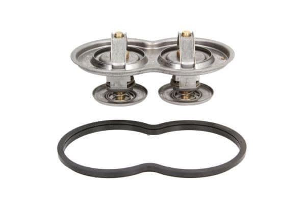termostat,lichid racire THERMOTEC D2SC001TT