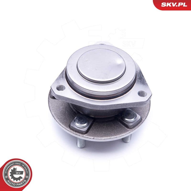 Set rulment roata ESEN SKV 29SKV261