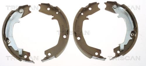 Set saboti frana, frana de mana TRISCAN 8100 18011