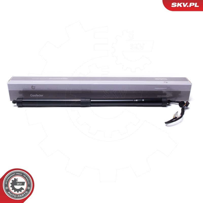 Motor electric, haion ESEN SKV 52SKV954