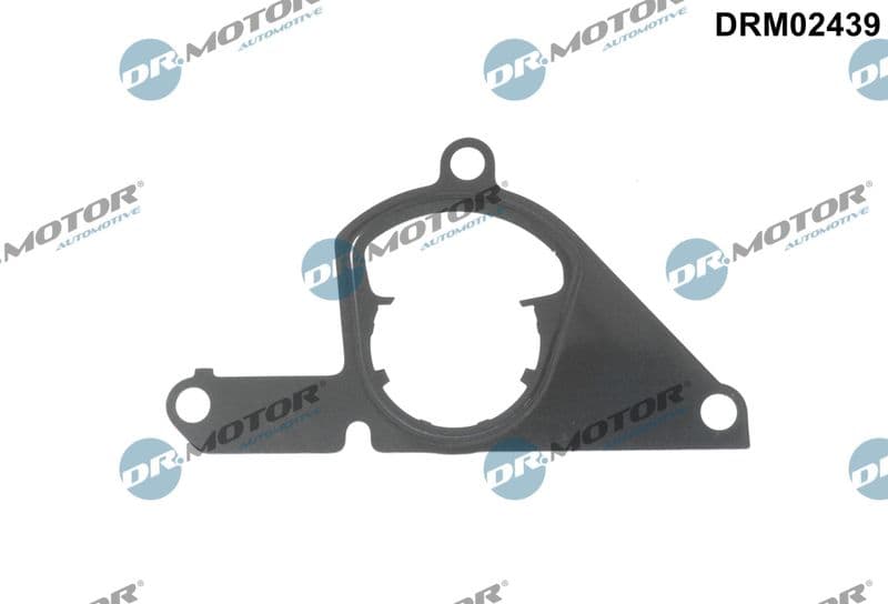 Garnitura, pompa vacuum Dr.Motor Automotive DRM02439