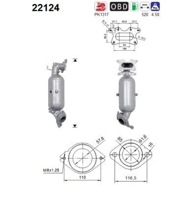 Catalizator AS-PL 22124