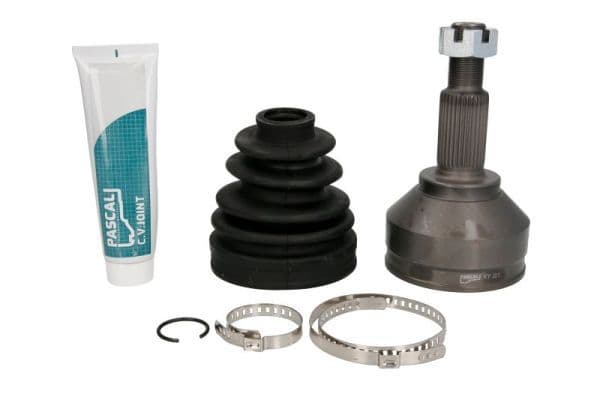 Set articulatie, planetara PASCAL G11095PC