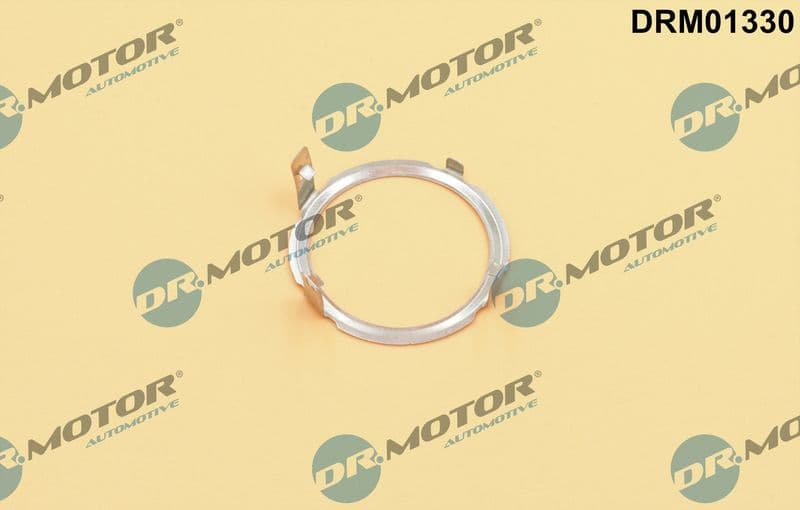 Garnitura, ventil AGR Dr.Motor Automotive DRM01330