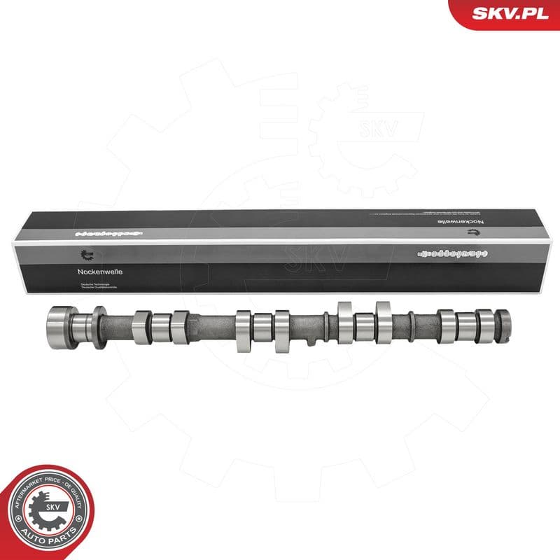 Ax cu came ESEN SKV 80SKV046