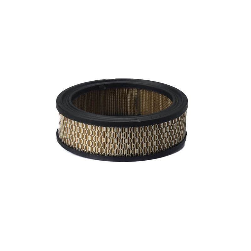 Filtru aer DONALDSON P528231