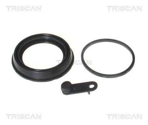 garnitura,piston etrier TRISCAN 8170 189974