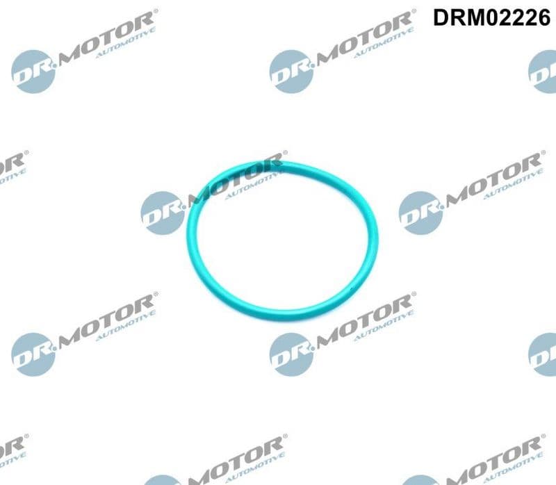 Garnitura, ventil AGR Dr.Motor Automotive DRM02226