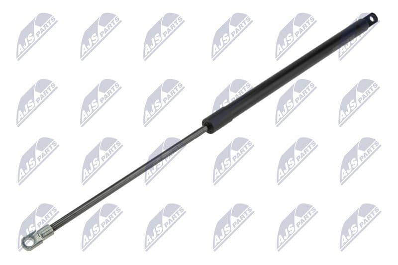 Amortizor portbagaj NTY AE-FT-043