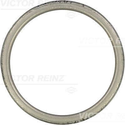 Garnitura, racord evacuare VICTOR REINZ 71-52303-00