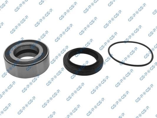 Set rulment roata GSP GK1466