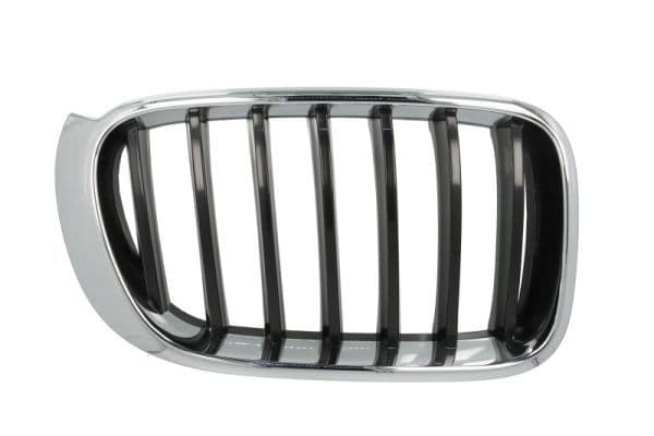 Grila radiator BLIC 6502-07-00939944P