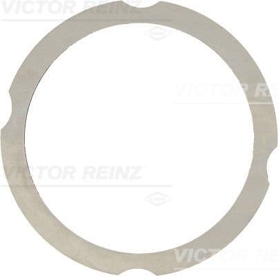 Garnitura, chiulasa REINZ 61-38260-20