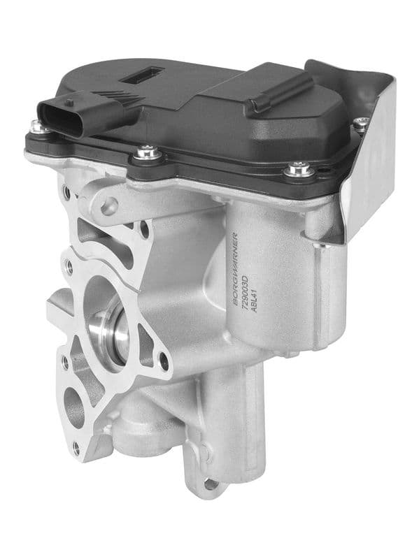 Supapa EGR BorgWarner 729003D