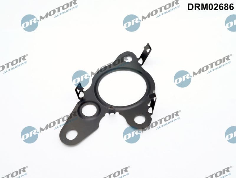 Garnitura, ventil AGR Dr.Motor Automotive DRM02686