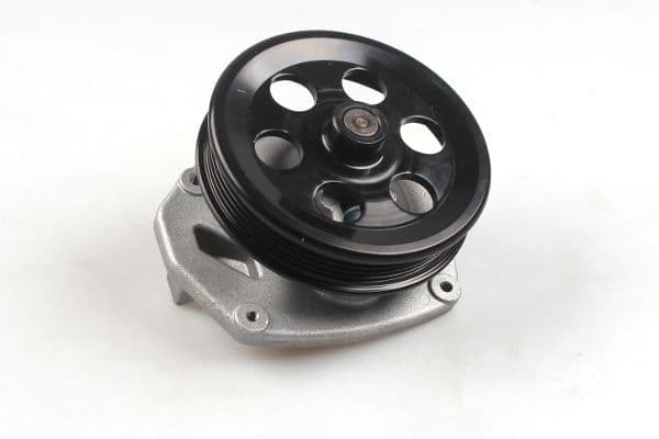 Pompă de apă, răcire motor HEPU P392