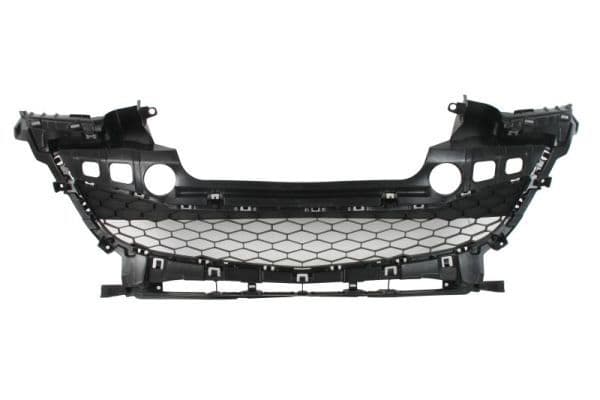 Grila radiator BLIC 6502-07-3477991P