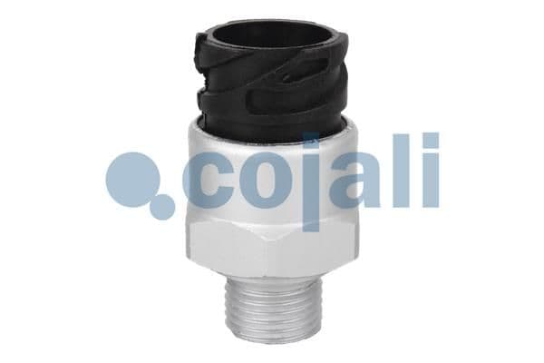Senzor COJALI 2260269