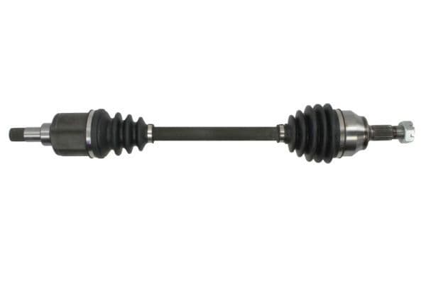 Planetara PASCAL G2P048PC