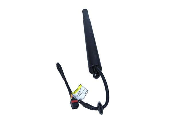 Motor electric, haion MAXGEAR 12-2550