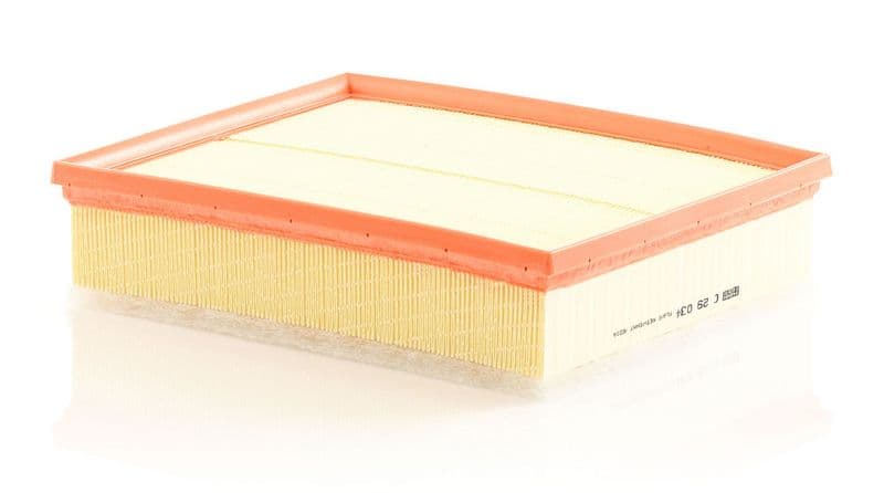 Filtru aer MANN-FILTER C 29 034