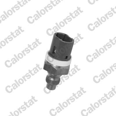 senzor,temperatura lichid de racire CALORSTAT BY VERNET WS2624