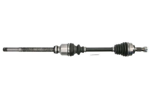 Planetara PASCAL G2P084PC