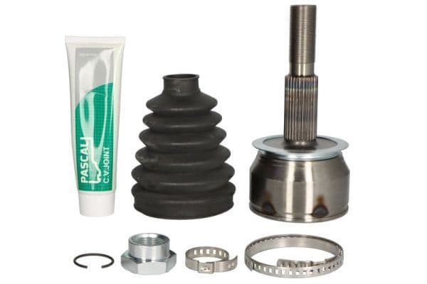 Set articulatie, planetara PASCAL G11103PC