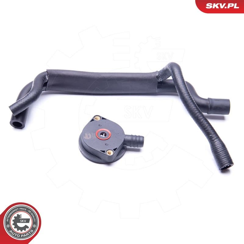 Set reparatie, aerisire baie ulei ESEN SKV 31SKV101