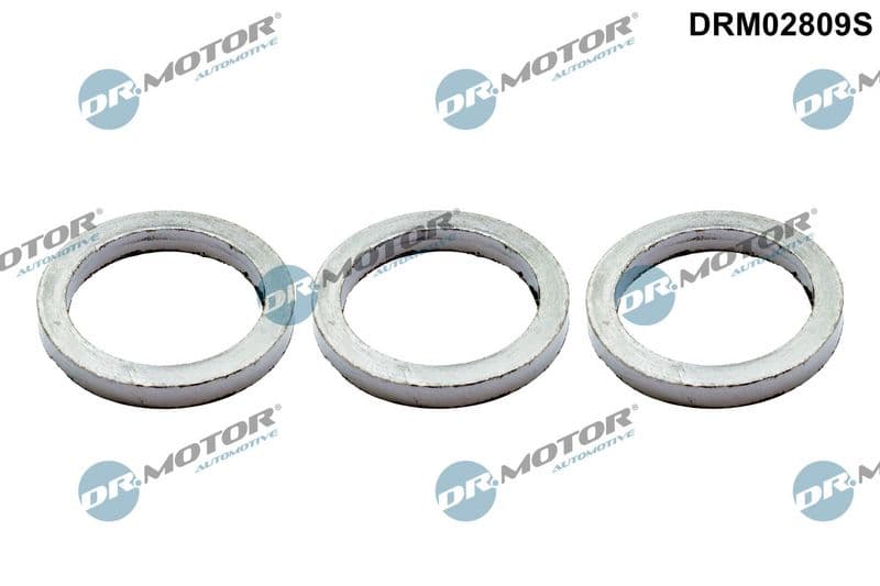 Set garnituri, galerie evacuare Dr.Motor Automotive DRM02809S