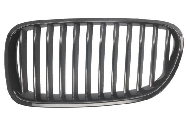 Grila radiator BLIC 6502-07-0067991P