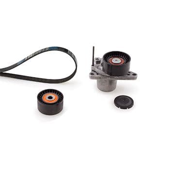 Set curea transmisie cu caneluri GATES Micro-V® K017PK1675