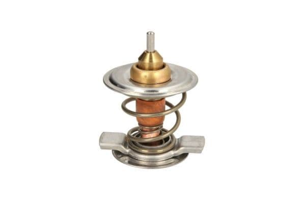 termostat,lichid racire THERMOTEC D2CL001TT