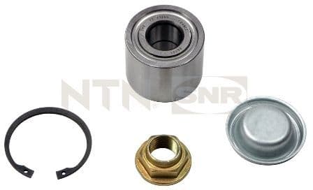Set rulment roata SNR R159.48