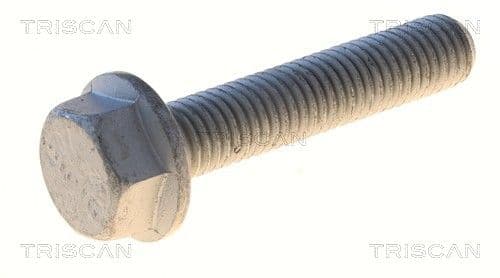 Bolturi fixare, brat suspensie TRISCAN 8501 0549