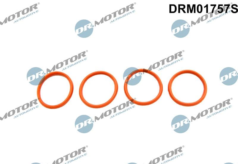 Set garnituri, galerie admisie Dr.Motor Automotive DRM01757S