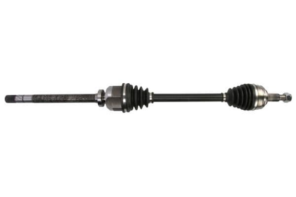 Planetara PASCAL G2R179PC