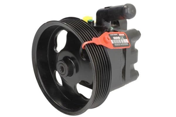 Pompa hidraulica, sistem de directie LAUBER 55.9947