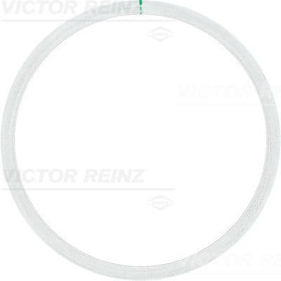 Garnitura, chiulasa VICTOR REINZ 61-25315-10