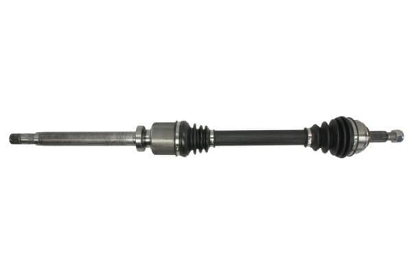 Planetara PASCAL G2R098PC