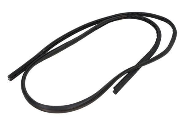 Garnitura, parbriz BLIC 5703-04-6037515Q