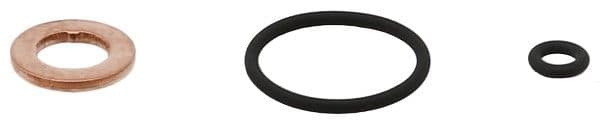 Set inele de etanșare, injector Common-Rail ELRING 883.700