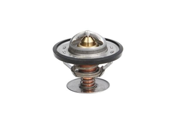termostat,lichid racire THERMOTEC D2G001TT