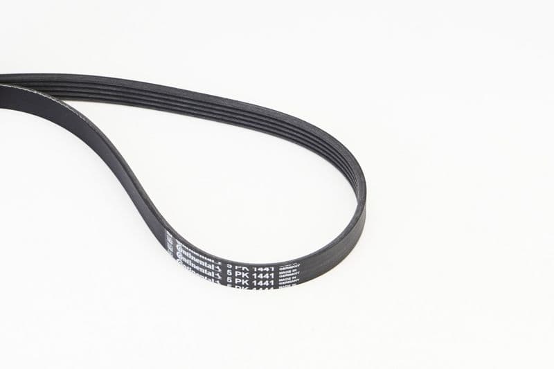 Curea transmisie cu caneluri CONTINENTAL CTAM 5PK1441